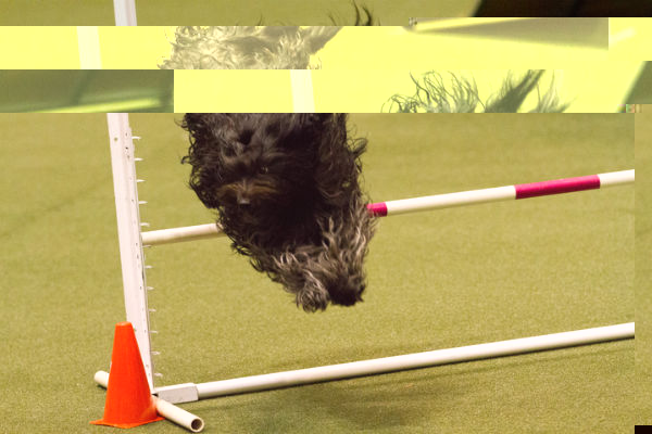 微信图片_20170719161239