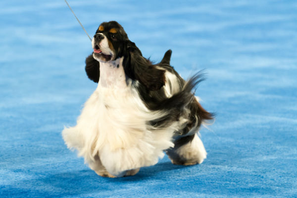 微信图片_20170719161250