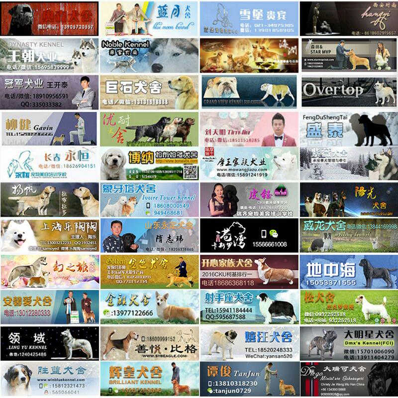 微信图片_20171210191749