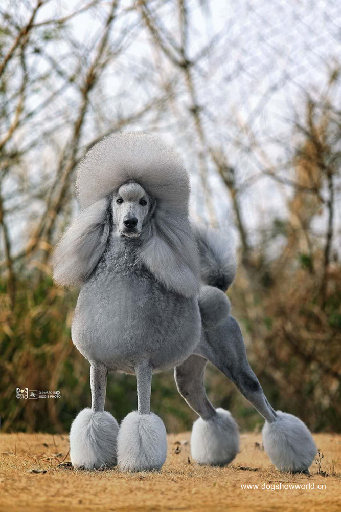 微信图片_20180104103205