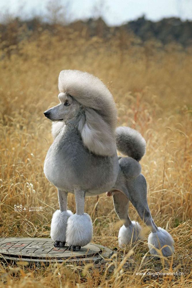 微信图片_20180104103213