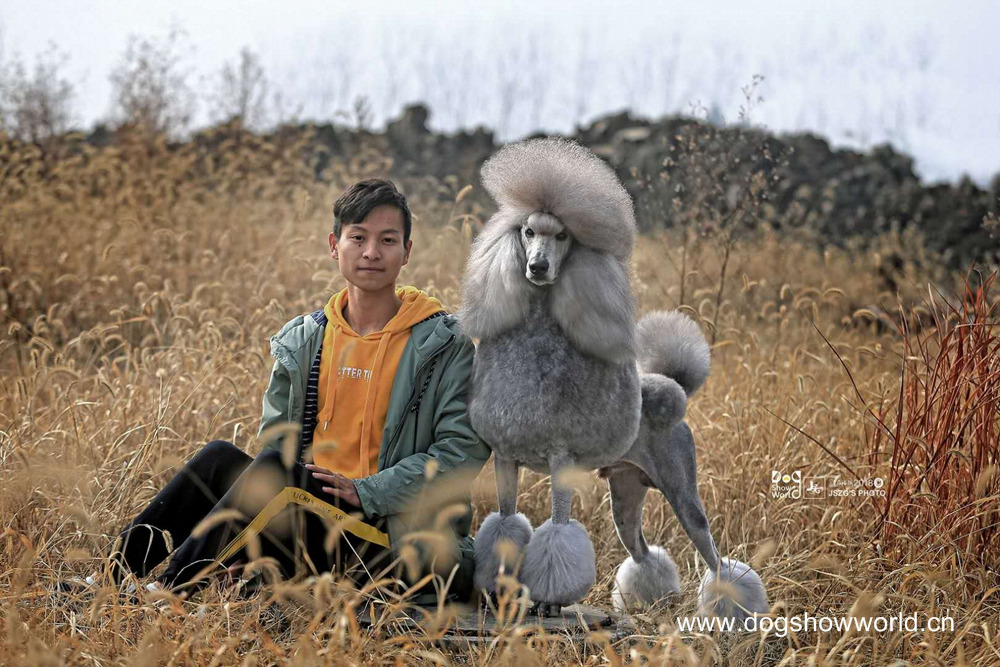 微信图片_20180104103217