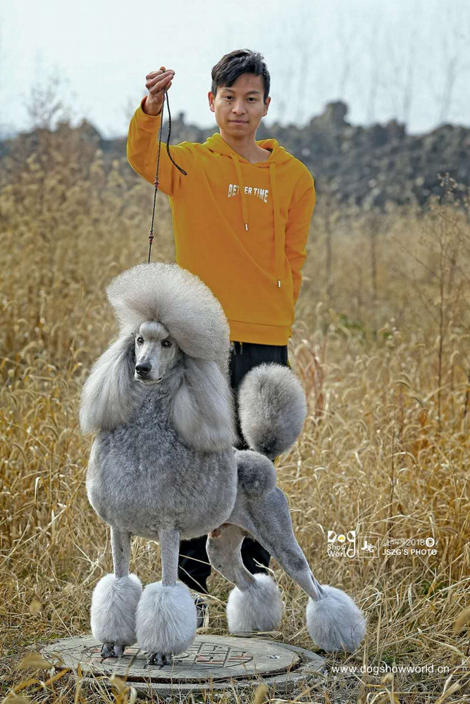 微信图片_20180104103224