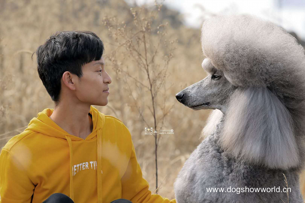 微信图片_20180104103227