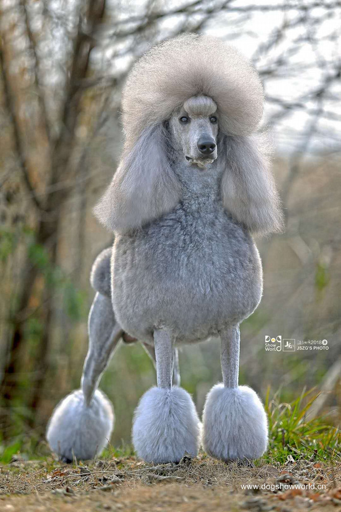 微信图片_20180104103231