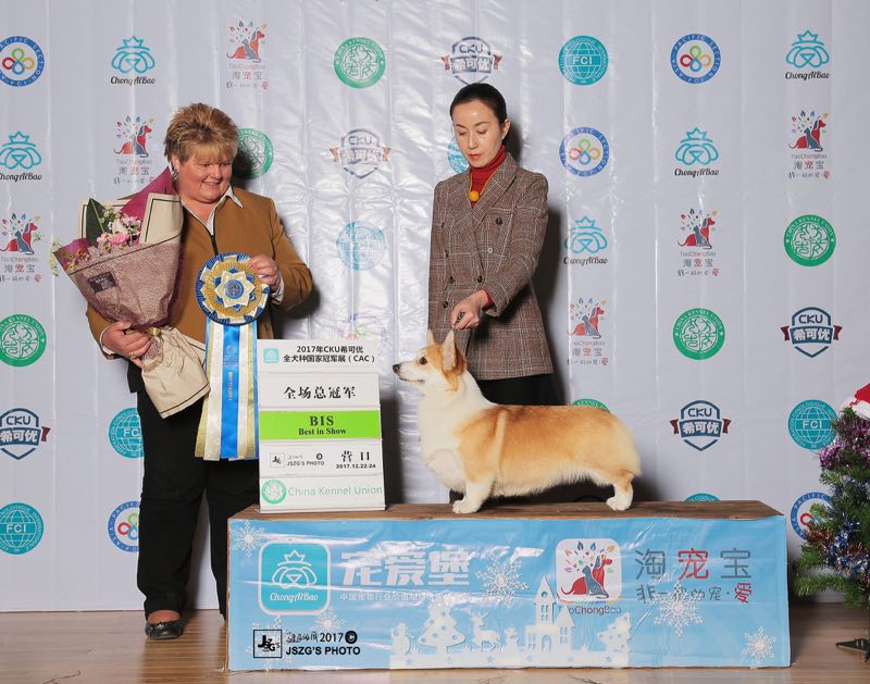 微信图片_20180124173439