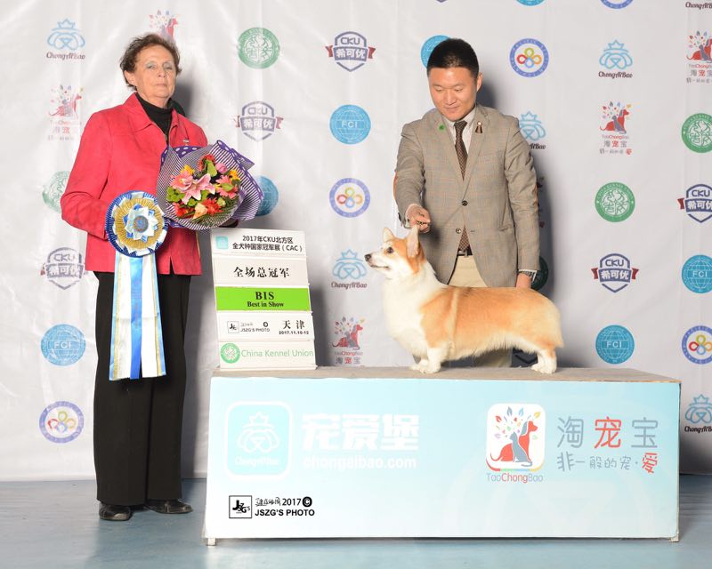 微信图片_20180124173500