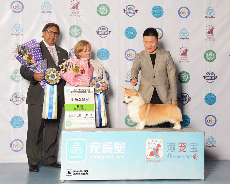 微信图片_20180124173503