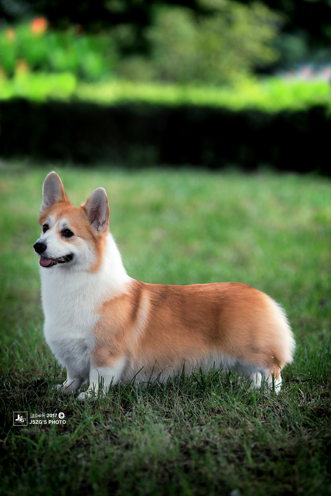 微信图片_20180125143518