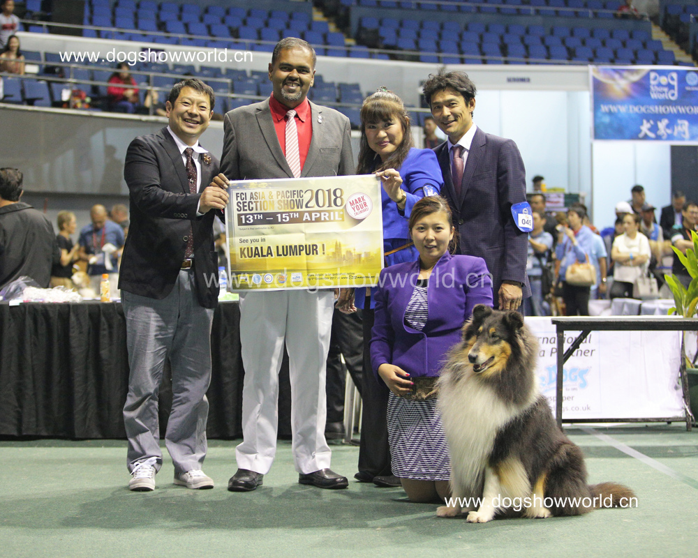 微信图片_20180129111506