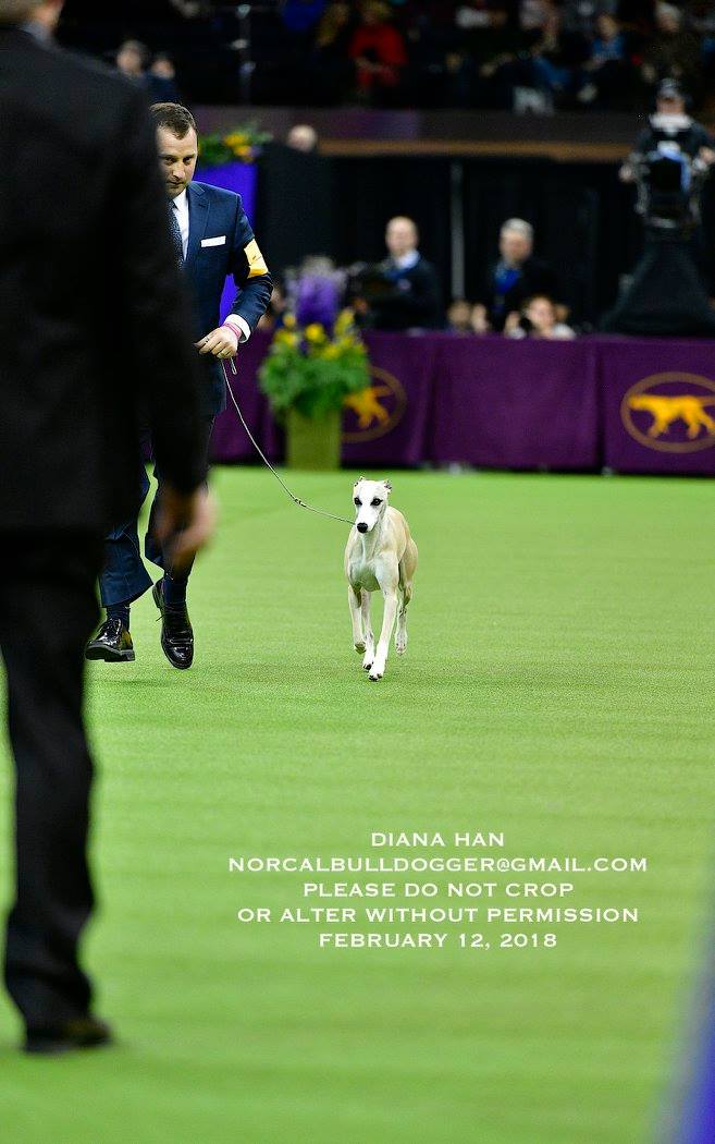 27709587_957668431024977_8733864300583488659_o