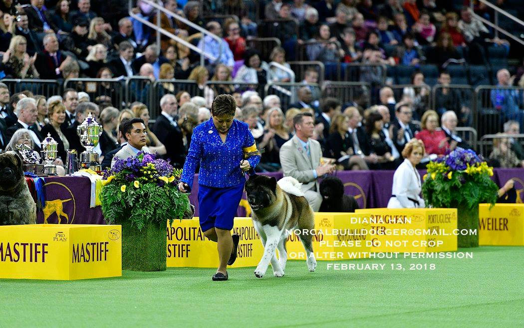 27797578_958525580939262_1319954432518283181_o