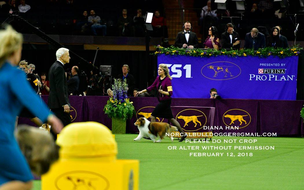 27797755_957678957690591_2186407893979736491_o