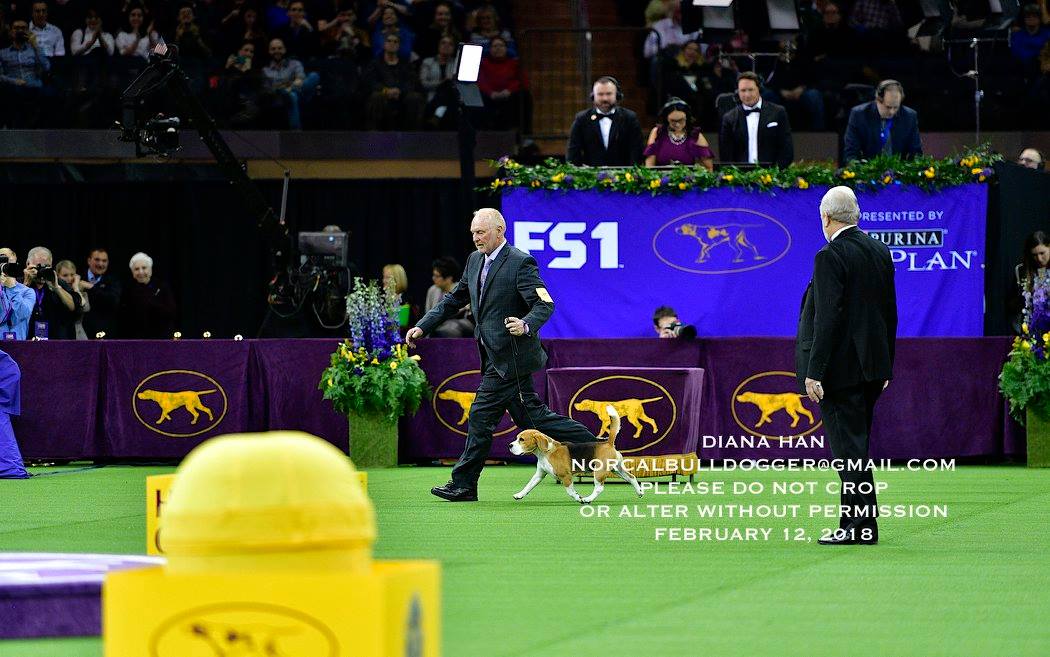 27798046_957668557691631_5197334969922817255_o