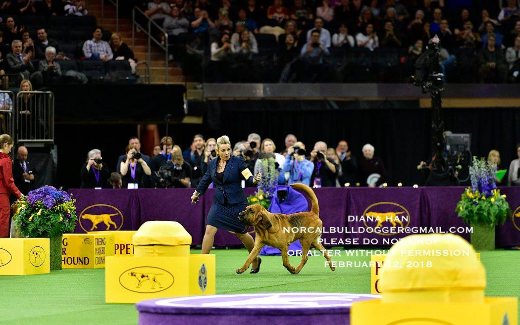 27798213_957668624358291_2241363297309002018_o