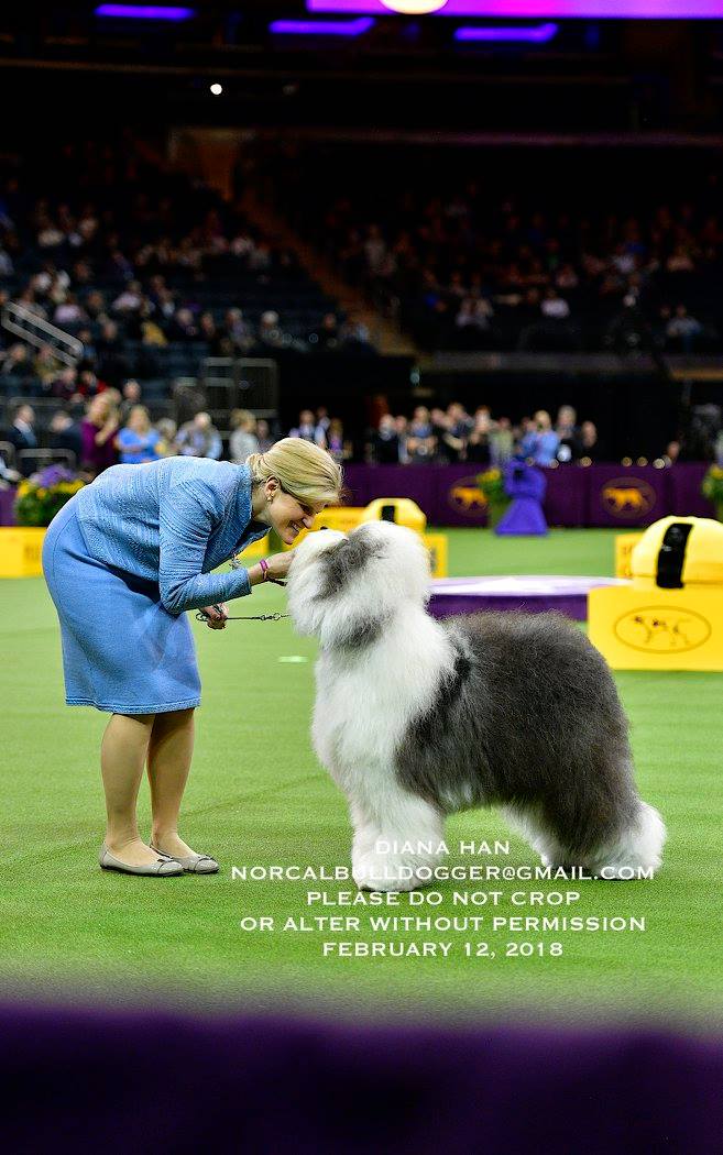 27907864_957677767690710_1421487400361118621_o