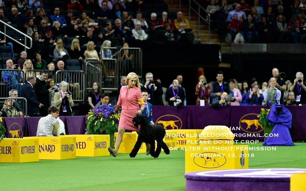 27912924_958525750939245_8163885460223617541_o