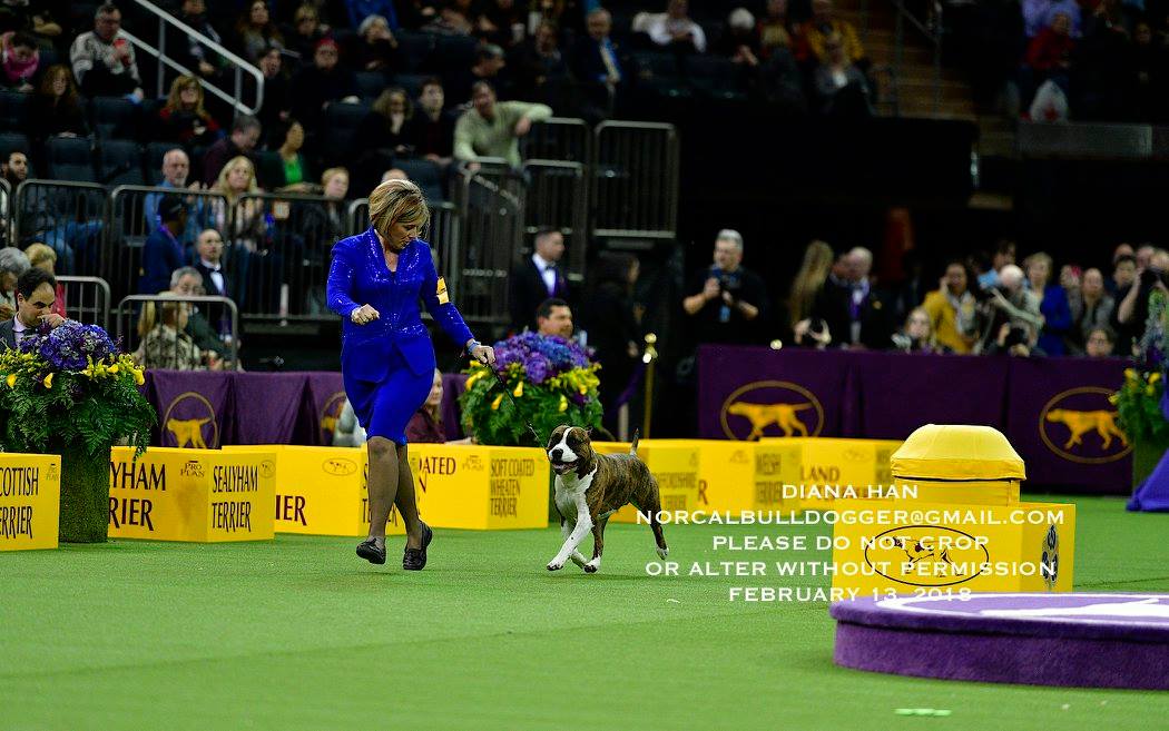 27983195_958526317605855_4480068476024213000_o