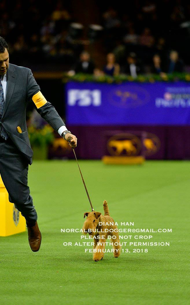 27983337_958527170939103_8409043732374501368_o