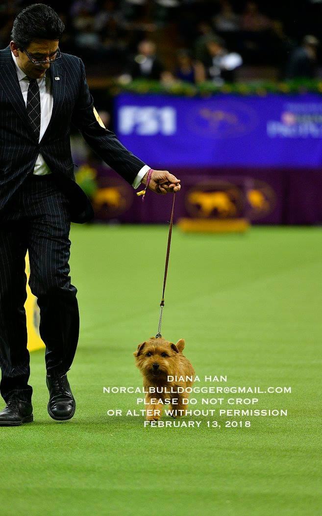 27992869_958527750939045_8492556817570034899_o