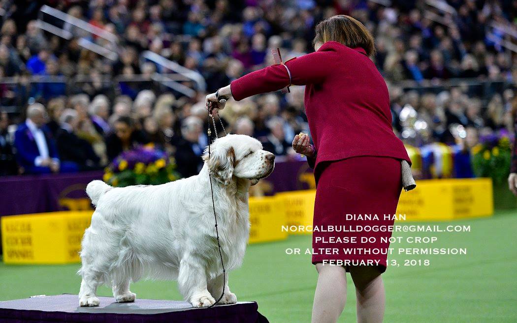 27993067_958530800938740_4151288562273643341_o