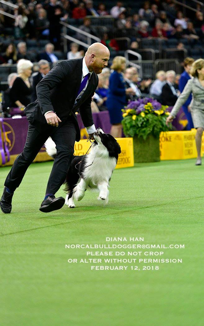 27993181_957679074357246_4262823581344516928_o