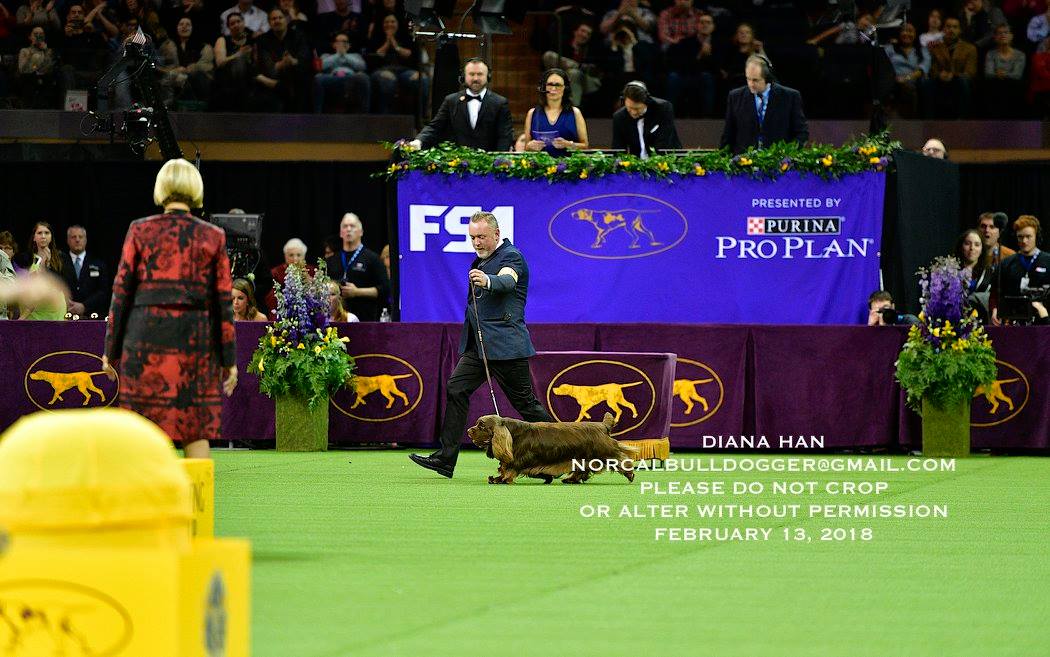 28070666_958532677605219_8731869323128836289_o