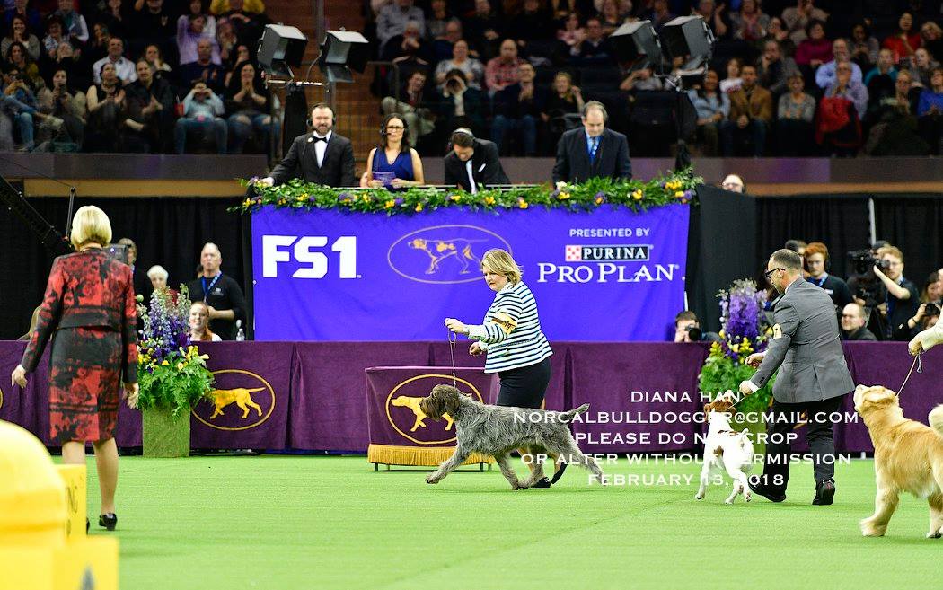 28164860_958532680938552_4505404611296223566_o