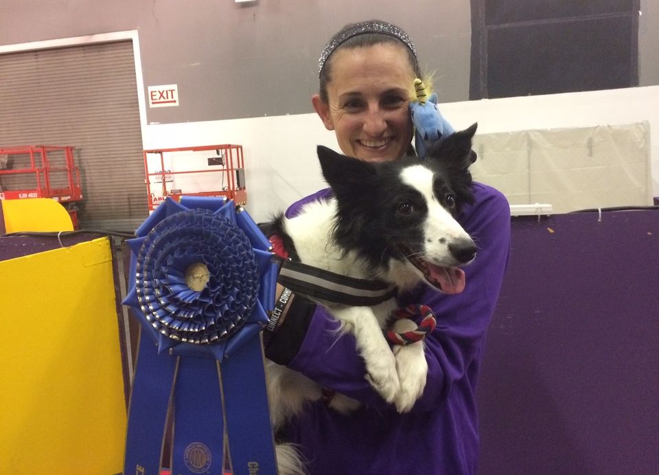 432_westminster2018agilityfamewinsnjdog