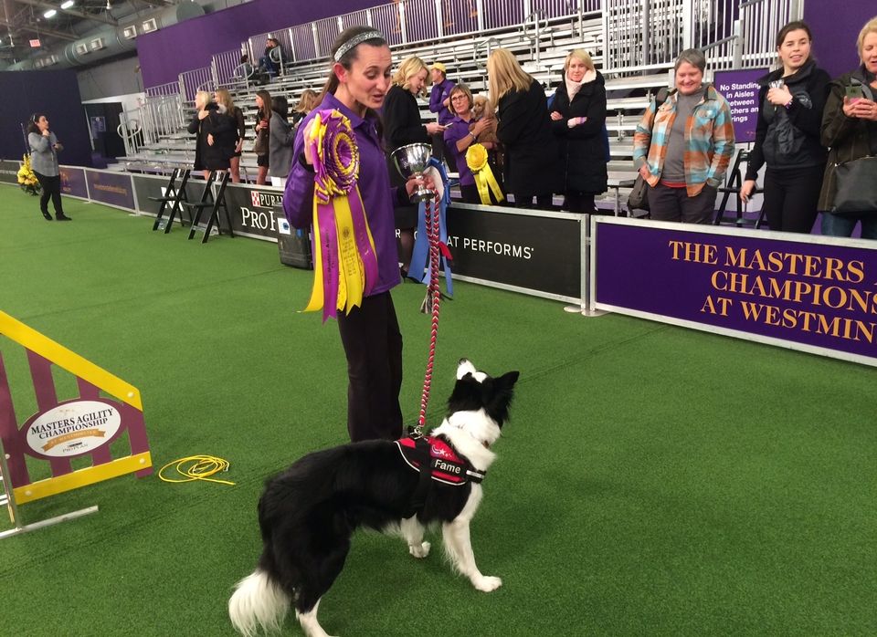 4fe_westminster2018agilityfamewinsnjdogsparta