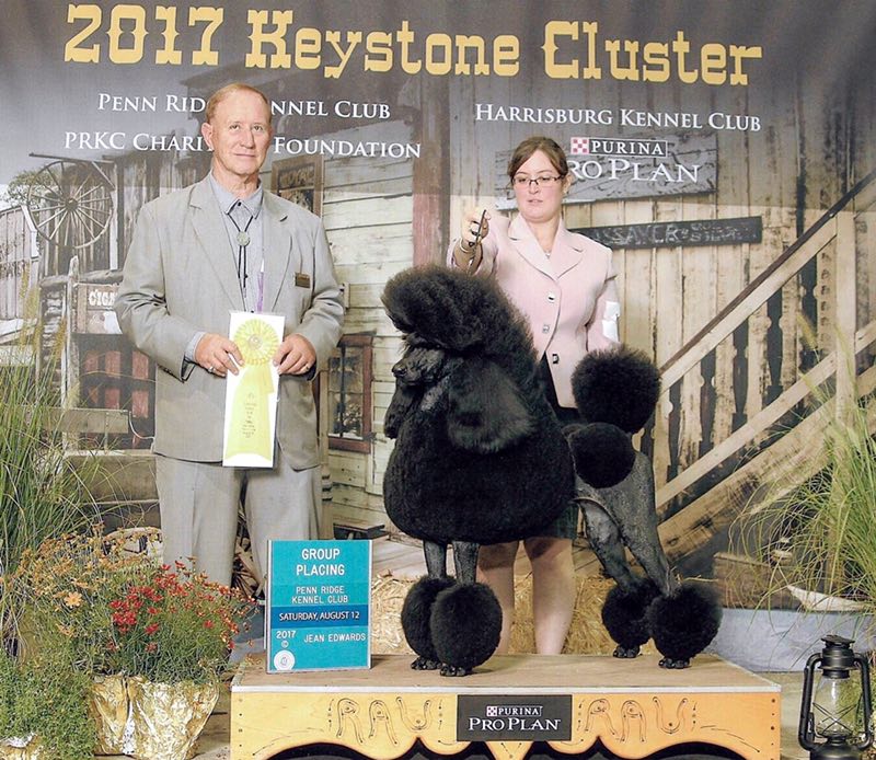 微信图片_20180223220431