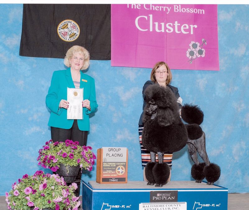 微信图片_20180223220443