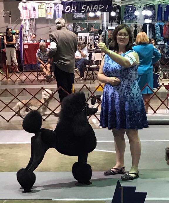 微信图片_20180223220449