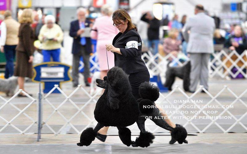 微信图片_20180223220456