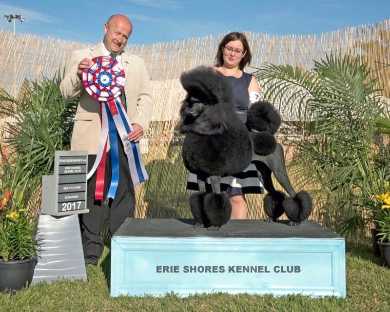 微信图片_20180223220500