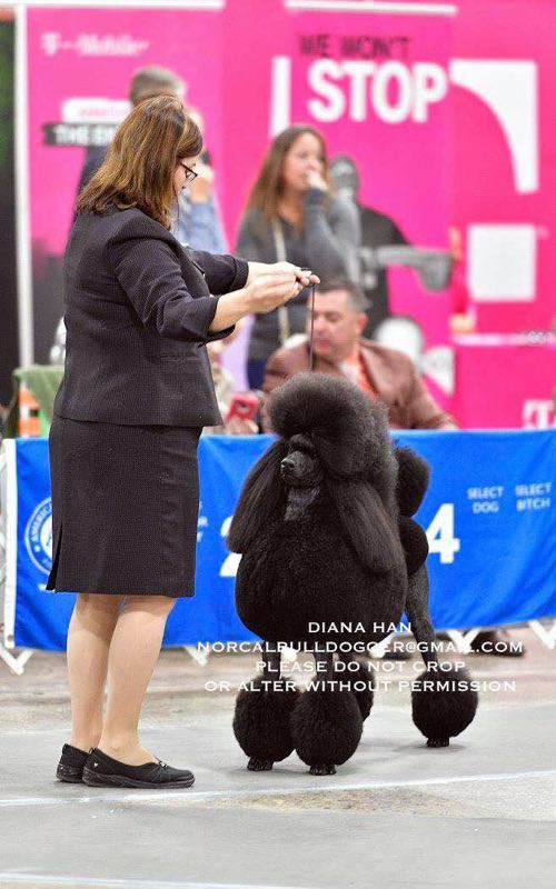 微信图片_20180223220504