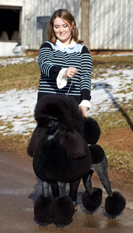 微信图片_20180223220514