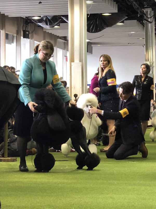 微信图片_20180223220518