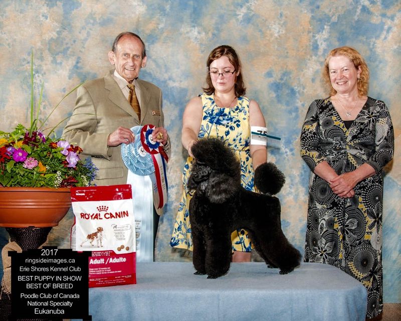 微信图片_20180223220522