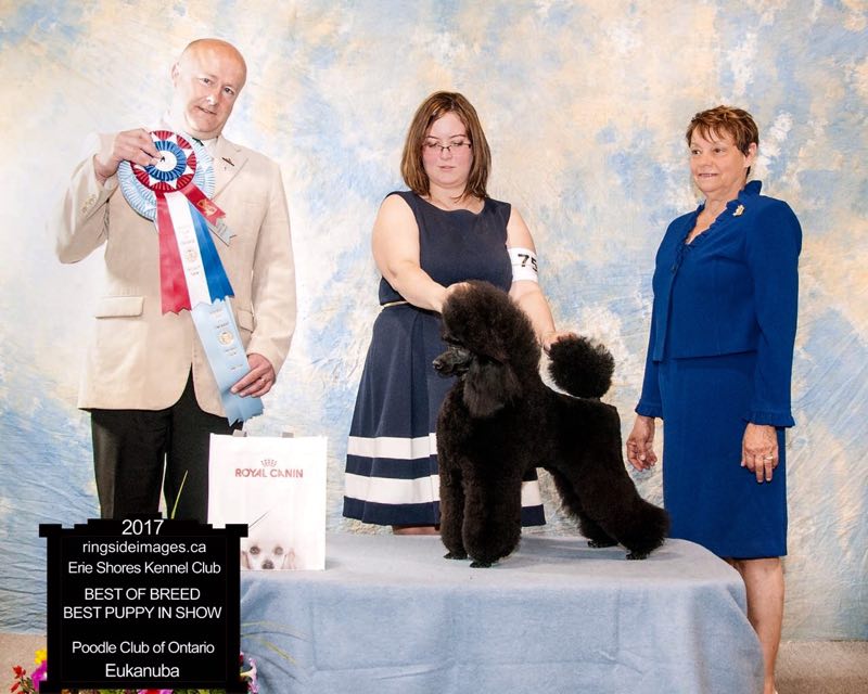 微信图片_20180223220525