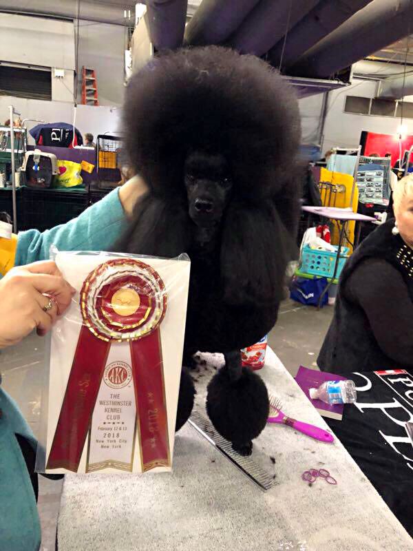 微信图片_20180223220529