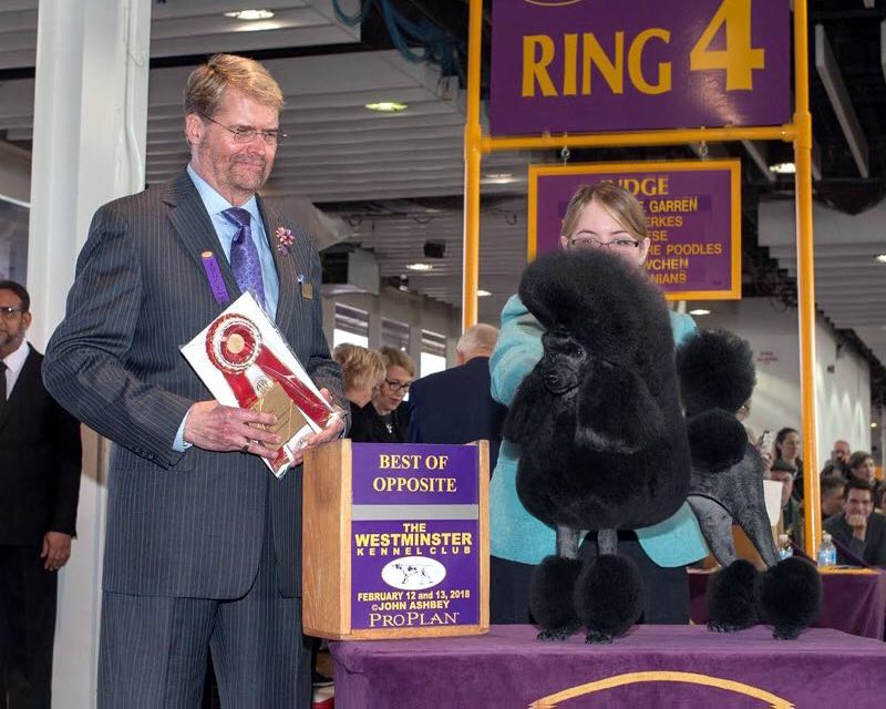 微信图片_20180223220533