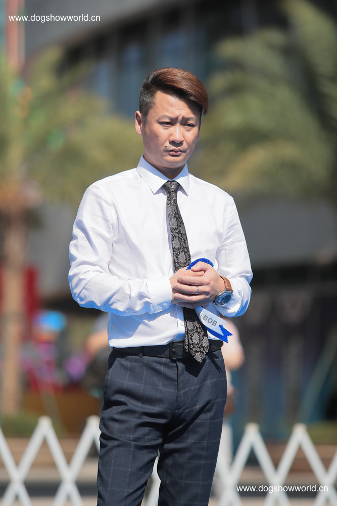 kai taiopen bis4:  柴犬, 胖虎, 安馨爱犬舍, 指导手: 王开泰border