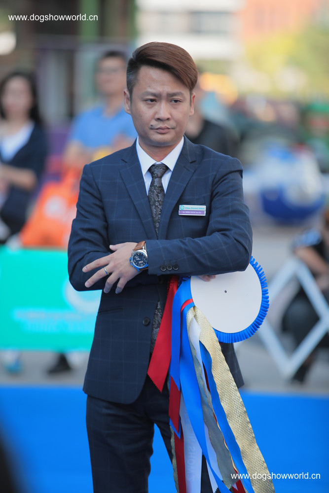 kai taiopen bis4:  柴犬, 胖虎, 安馨爱犬舍, 指导手: 王开泰border